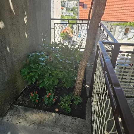 Dm